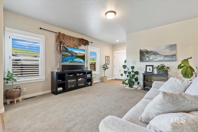 5707 W Elk Trail St Unit 630, Boise, ID 83714 - living area featuring baseboards and carpet floors