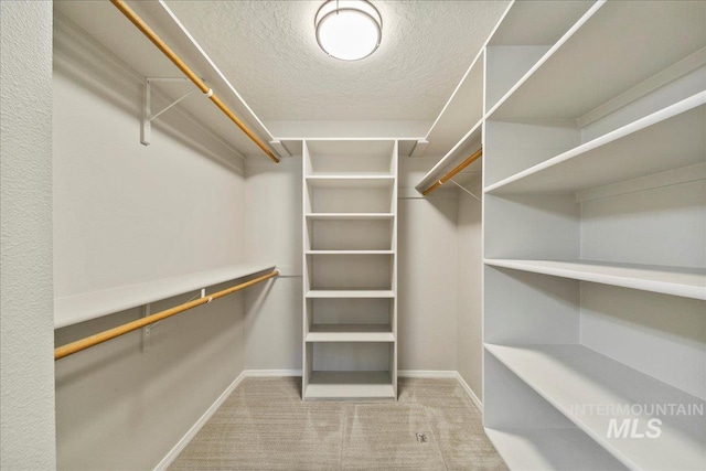 walk in closet featuring light colored carpet