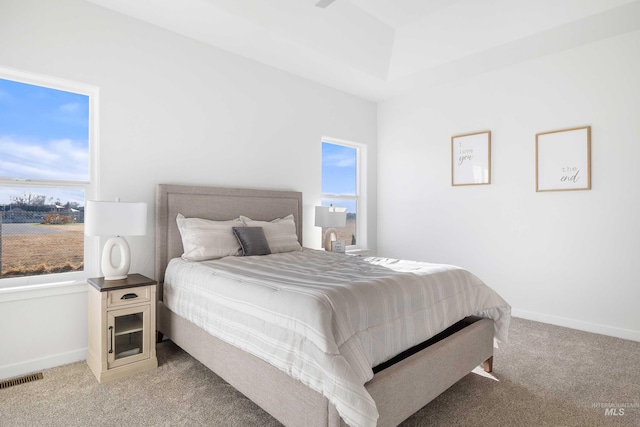 205 W 13th Ave, Jerome, ID 83338 - bedroom featuring carpet flooring and baseboards