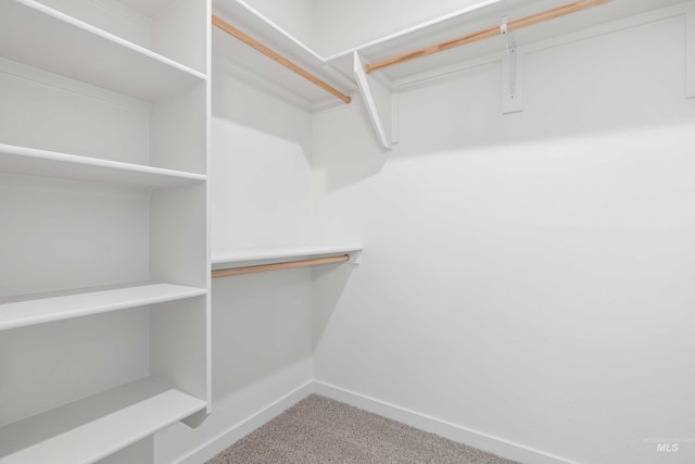205 W 13th Ave, Jerome, ID 83338 - walk in closet with carpet flooring