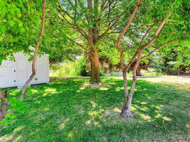 248 N Palmetto Dr, Eagle, ID 83616 - view of grassy yard featuring a storage shed