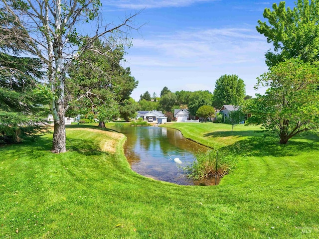 248 N Palmetto Dr, Eagle, ID 83616 - water view