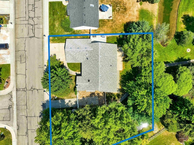 248 N Palmetto Dr, Eagle, ID 83616 - aerial view of property and surrounding area with property boundaries highlighted