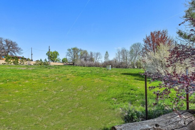 view of yard