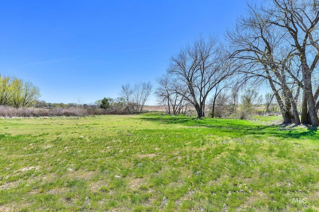 view of yard with a rural view