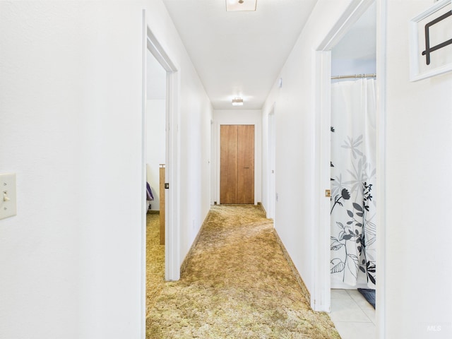 1929 S 2350 E, Malta, ID 83342 - hall with light colored carpet