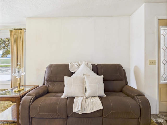 1929 S 2350 E, Malta, ID 83342 - view of living room