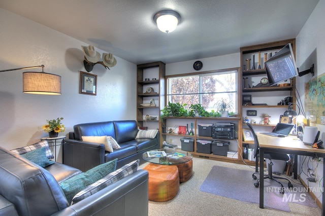 office featuring a textured ceiling, carpet floors, and a textured wall