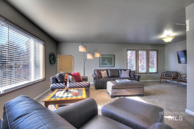 carpeted living area with baseboards and a wealth of natural light