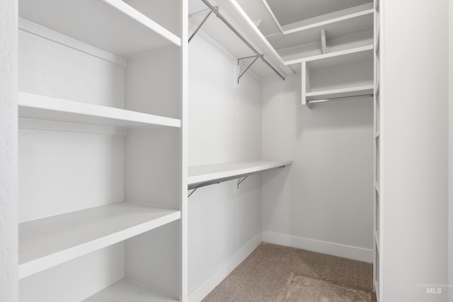 3051 S Sedgebrook Ln, Eagle, ID 83616 - spacious closet with carpet flooring