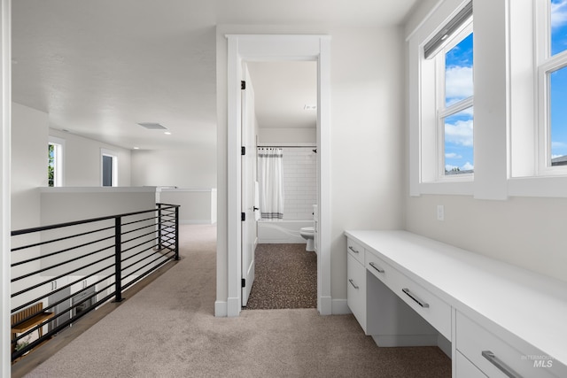 3051 S Sedgebrook Ln, Eagle, ID 83616 - corridor featuring light carpet, an upstairs landing, and baseboards
