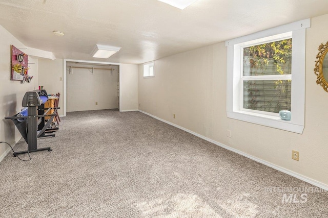 interior space featuring baseboards and carpet