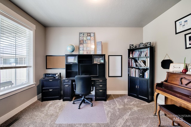 1234 W Sagwon Dr, Kuna, ID 83634 - office space featuring light carpet and baseboards