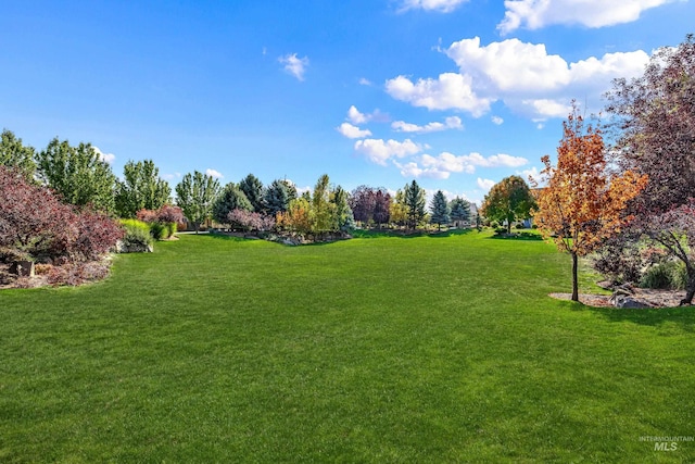 10685 W Evelia St, Boise, ID 83709 - view of grassy yard