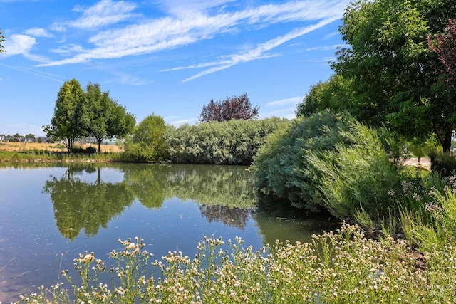 10685 W Evelia St, Boise, ID 83709 - water view