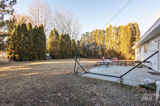 view of yard featuring a patio area