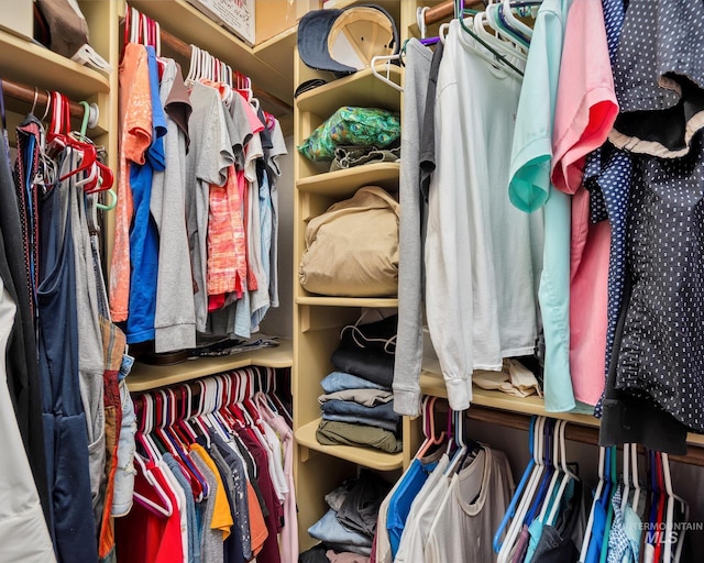 view of walk in closet