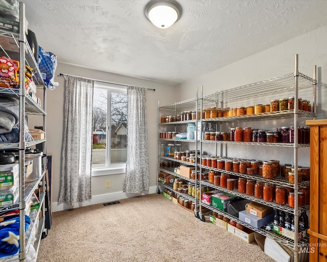 storage area featuring visible vents