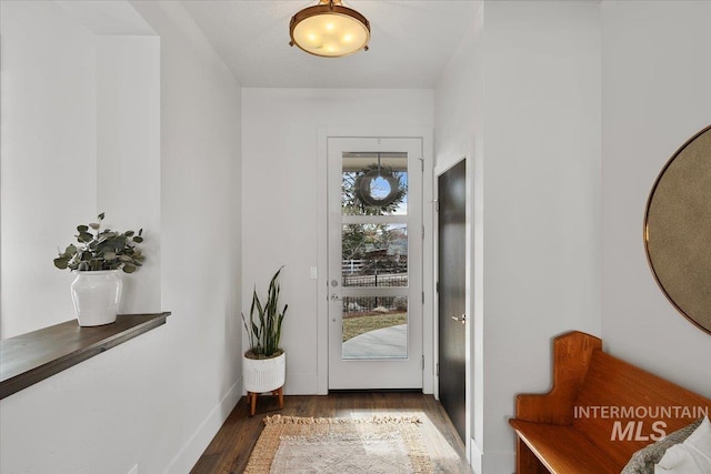 entryway with baseboards and wood finished floors