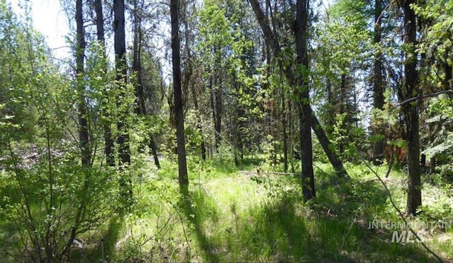 13088 Crane Shores Dr, Donnelly, ID 83615