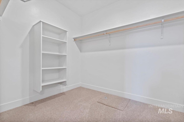 walk in closet with carpet