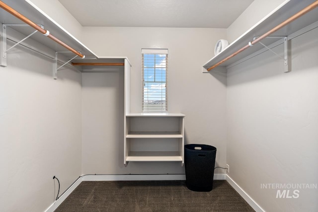 1873 W American Fork Dr, Meridian, ID 83642 - walk in closet featuring dark carpet