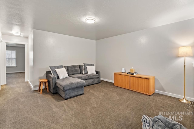1873 W American Fork Dr, Meridian, ID 83642 - living area with carpet floors, baseboards, and a textured ceiling