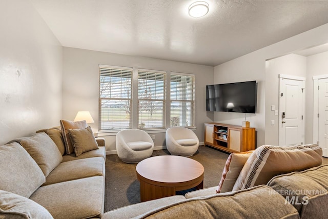 1873 W American Fork Dr, Meridian, ID 83642 - carpeted living room with baseboards