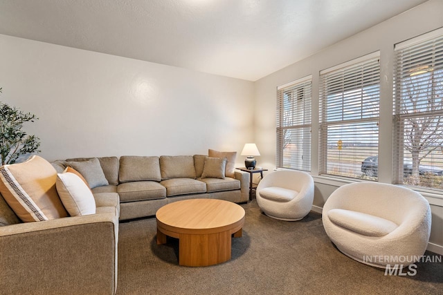 1873 W American Fork Dr, Meridian, ID 83642 - carpeted living area with healthy amount of natural light
