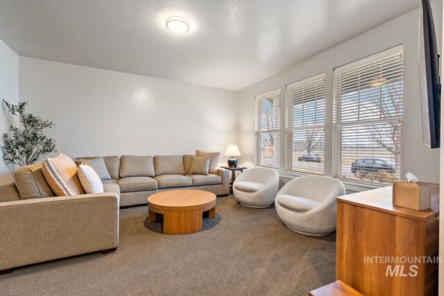 1873 W American Fork Dr, Meridian, ID 83642 - living area with carpet
