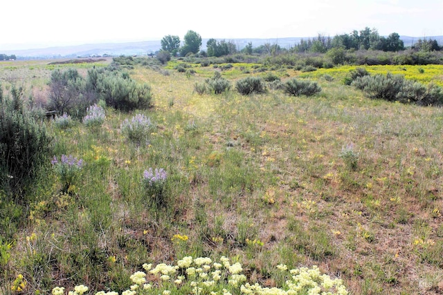 TBD Sage Creek Rd, Parcel A Midvale, ID 83645