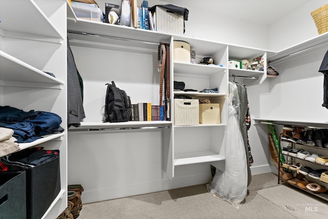walk in closet featuring carpet flooring
