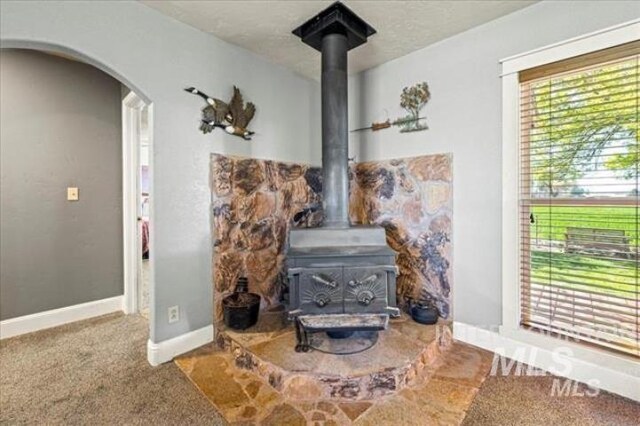 3845 S Powerline, Melba, ID 83641 - detailed view of a wood stove, carpet, arched walkways, and baseboards