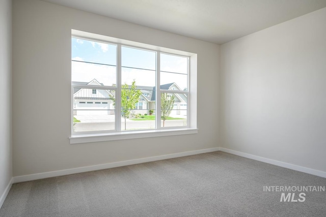 carpeted spare room with a wealth of natural light