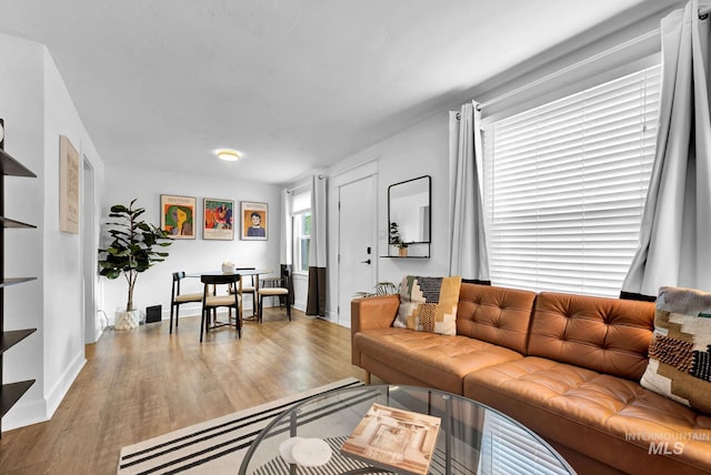 living room featuring light wood finished floors