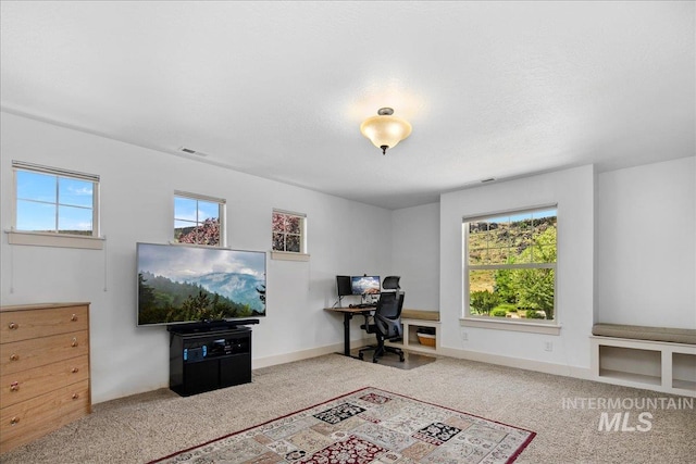 6370 E Escarpment Ct, Boise, ID 83716 - view of carpeted home office