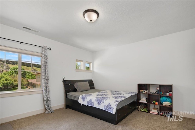6370 E Escarpment Ct, Boise, ID 83716 - bedroom featuring carpet flooring and baseboards