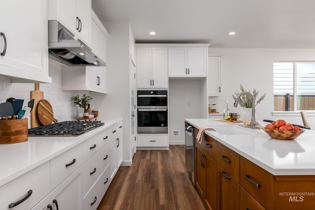 3769 N Costa Madera Way, Star, ID 83669 - kitchen with under cabinet range hood, stainless steel appliances, white cabinetry, light countertops, and tasteful backsplash