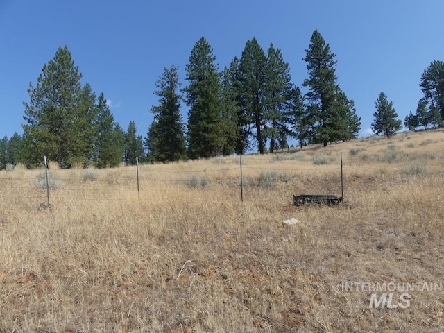 view of local wilderness featuring a rural view