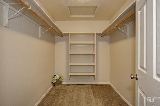 spacious closet featuring carpet floors