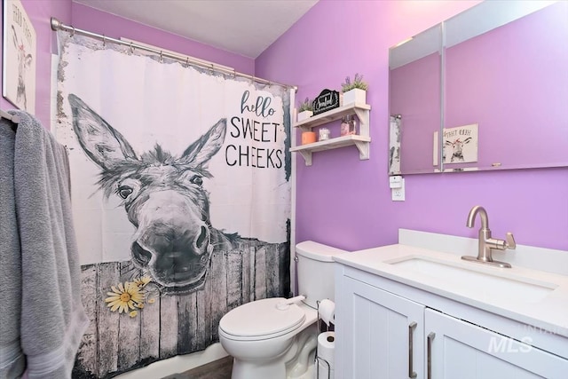 bathroom featuring toilet, vanity, and curtained shower