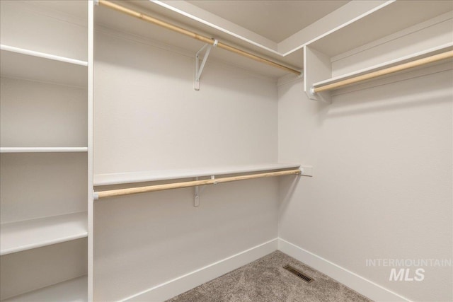 walk in closet featuring carpet and visible vents