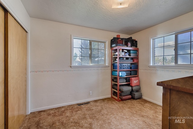 unfurnished bedroom with light colored carpet, a textured ceiling, and a closet