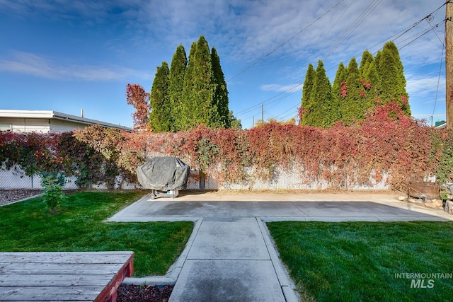 view of yard with a patio