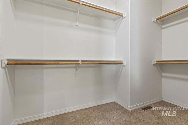 5915 N Lilybrook Pl, Boise, ID 83713 - walk in closet with carpet floors