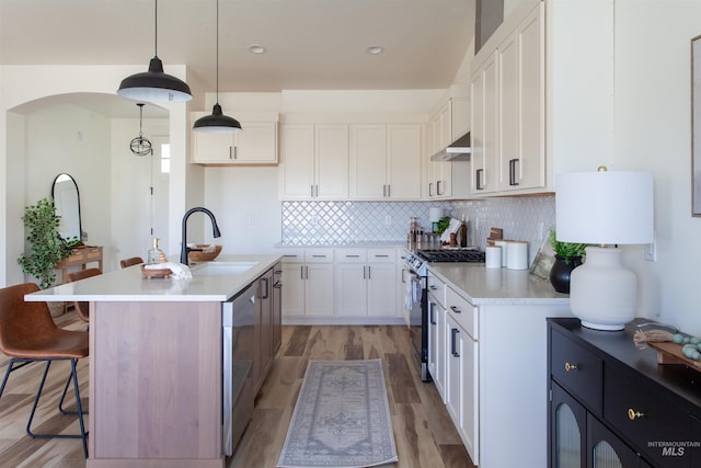 kitchen featuring white cabinets, stainless steel appliances, a sink, light wood-type flooring, and under cabinet range hood