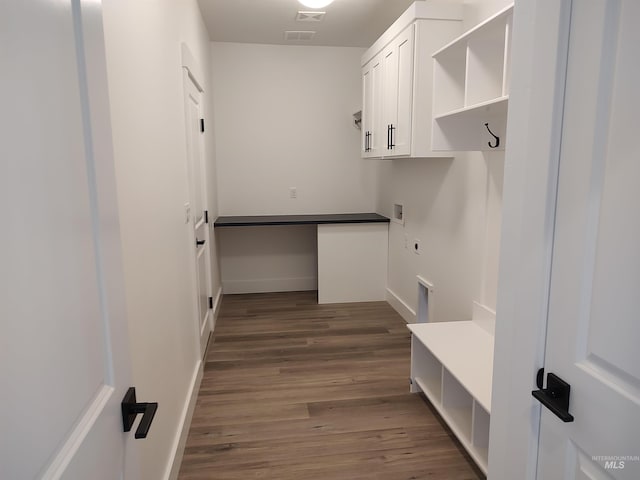 mudroom featuring dark wood-type flooring