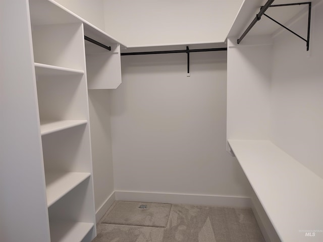 spacious closet with light colored carpet