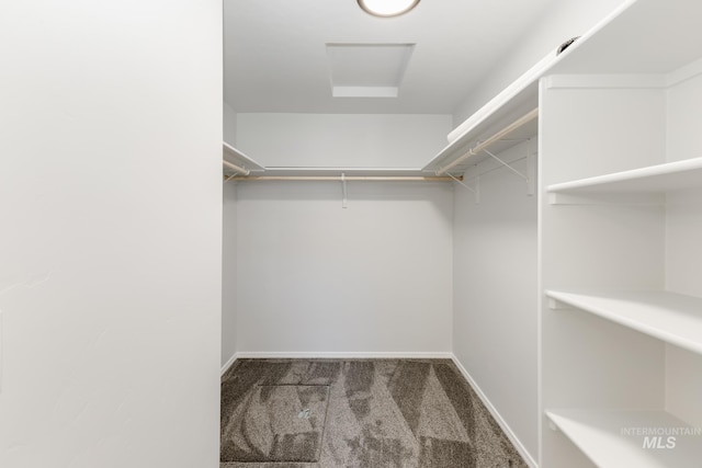 spacious closet with carpet flooring