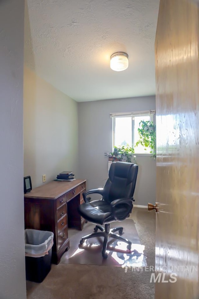 office space with carpet flooring and a textured ceiling